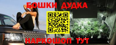a pvp Лесосибирск